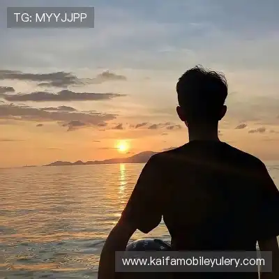 何鹰辉